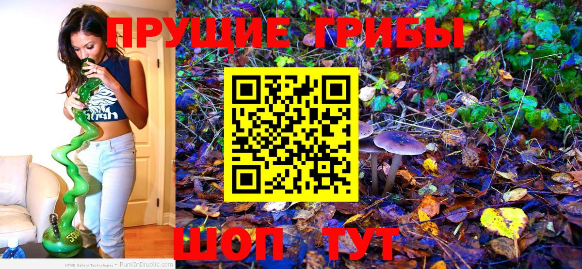 Галлюциногенные грибы мухоморы Биробиджан