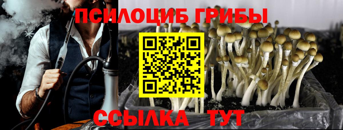 Биробиджан  Галлюциногенные грибы мицелий  Псилоцибиновые грибы Cubensis  Вход с VPN 