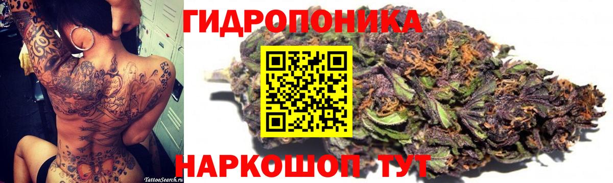 Бошки Шишки семена  Каннабис индика  Вход с VPN  Биробиджан  Канабис гибрид 